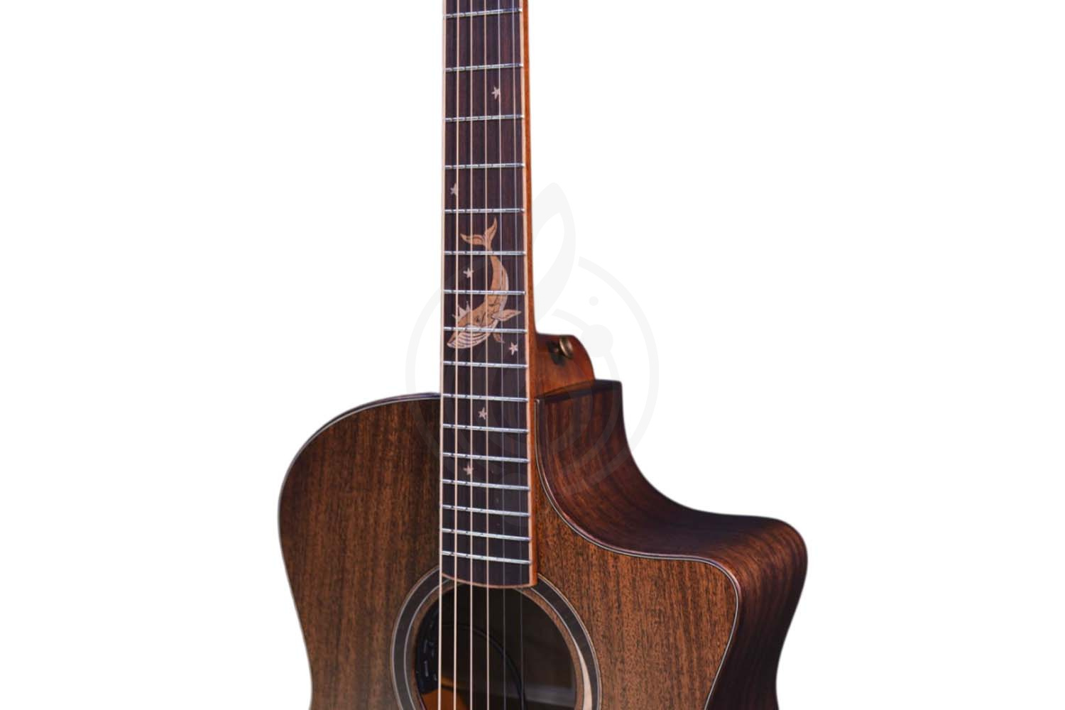 Электроакустическая гитара CRAFTER MIND W PREMIUM Te - Гитара электроакустическая - фото 3