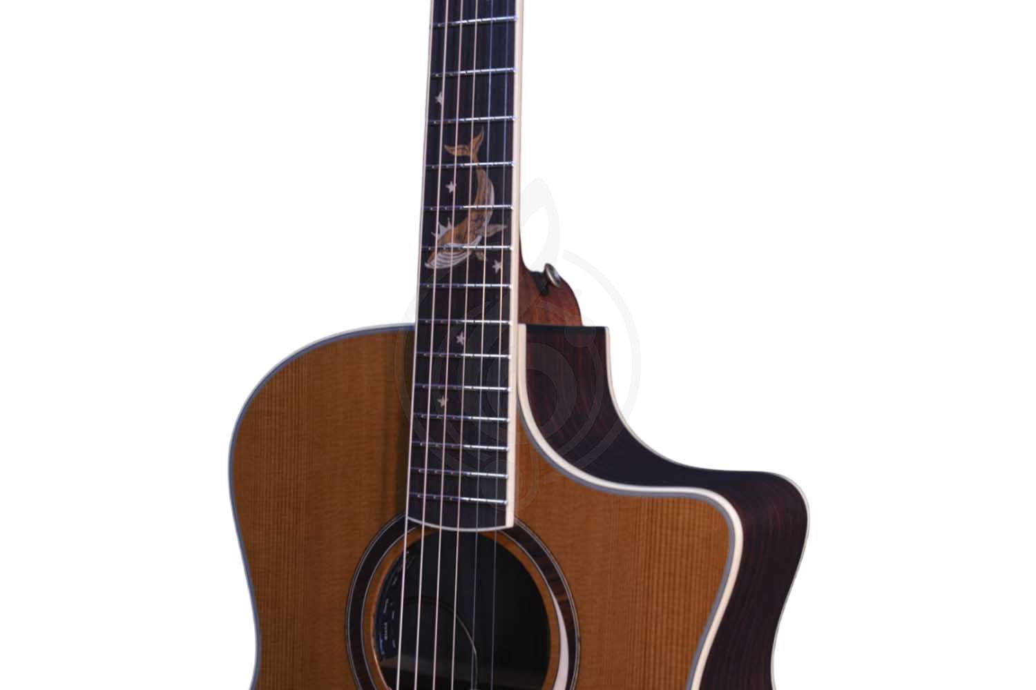 Электроакустическая гитара CRAFTER MIND W PRESTIGE ROSE Gce VVS - Гитара электроакустическая - фото 4