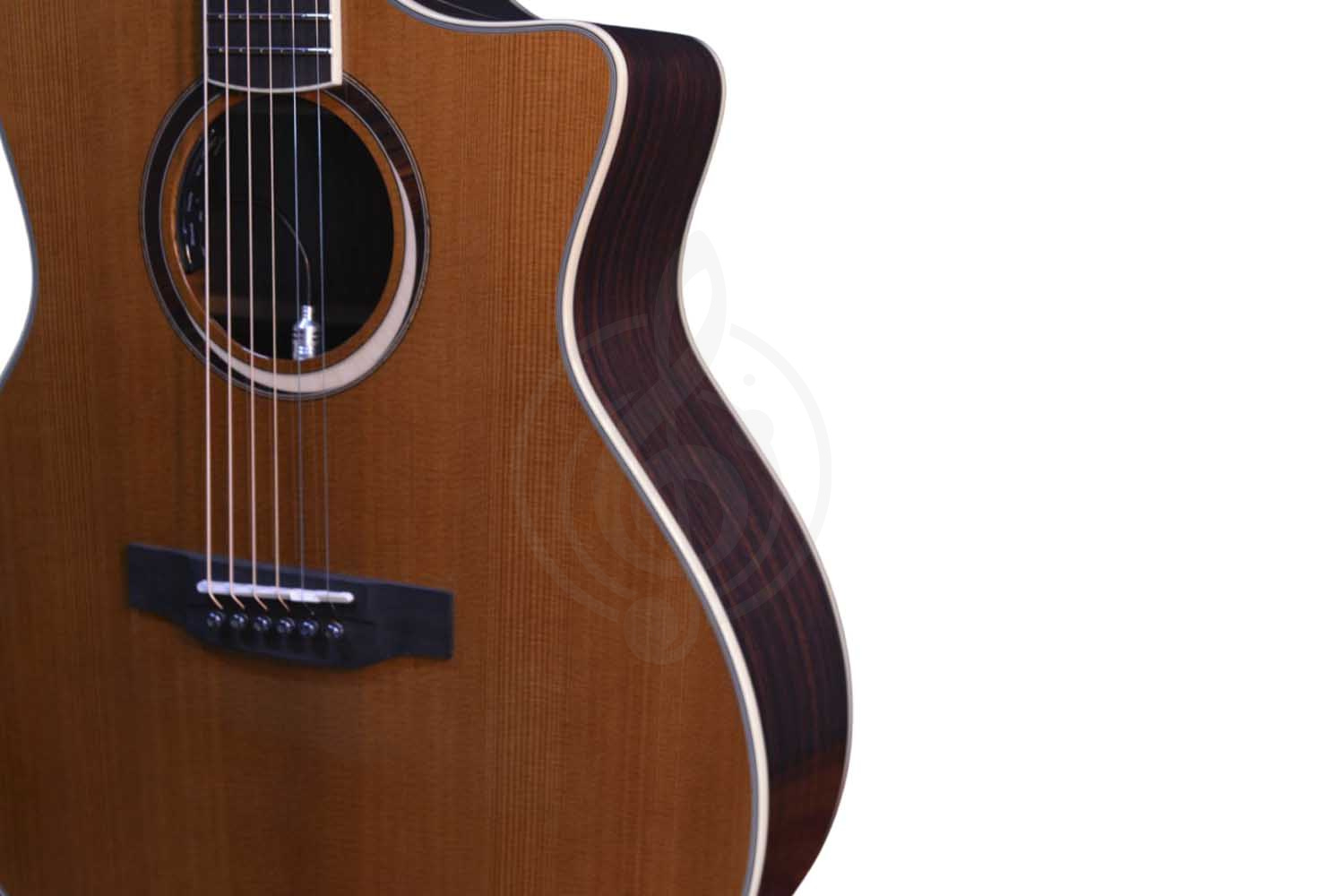 Электроакустическая гитара CRAFTER MIND W PRESTIGE ROSE Gce VVS - Гитара электроакустическая - фото 5