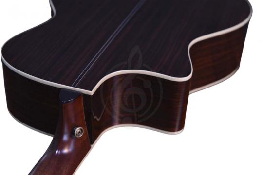 Электроакустическая гитара CRAFTER MIND W PRESTIGE ROSE Tce VVS - Гитара электроакустическая - фото 2