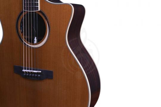 Электроакустическая гитара CRAFTER MIND W PRESTIGE ROSE Tce VVS - Гитара электроакустическая - фото 3