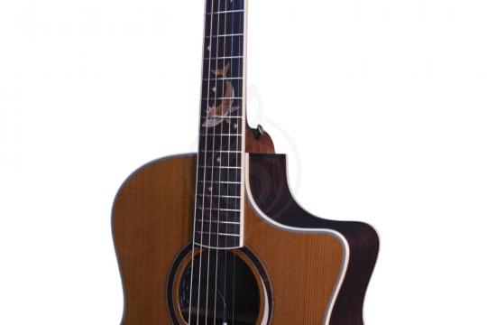 Электроакустическая гитара CRAFTER MIND W PRESTIGE ROSE Tce VVS - Гитара электроакустическая - фото 4