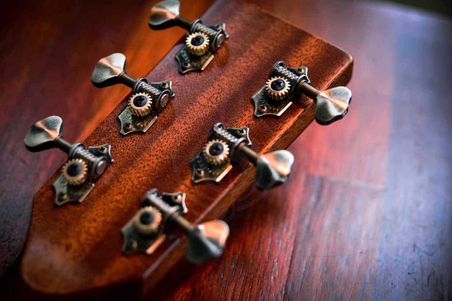 Электроакустическая гитара CRAFTER SungEum G-50th ce VVS - Гитара электроакустическая - фото 3